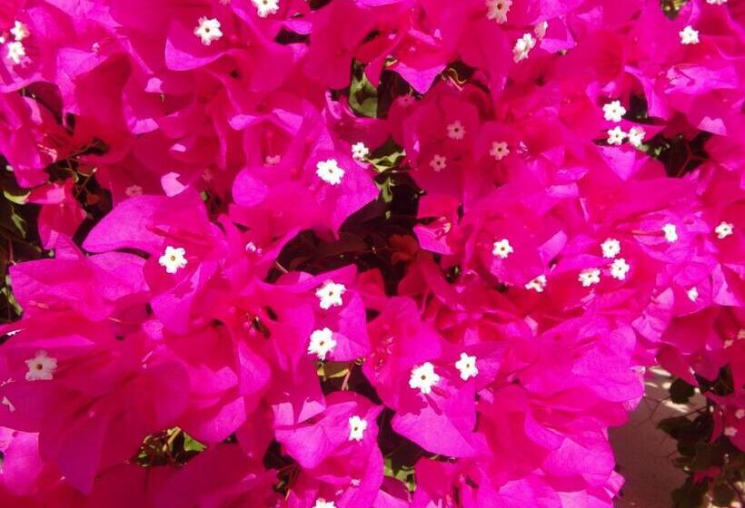 Bed and Breakfast Casa El Chorro