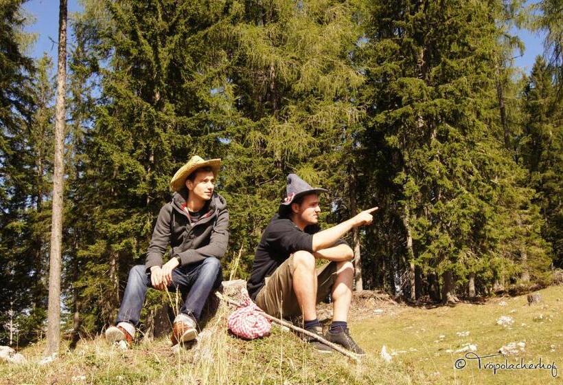 Der Tröpolacherhof Hotel & Restaurant