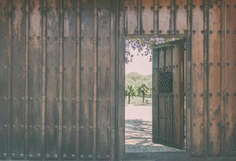ホテル Casas Del Sevillano