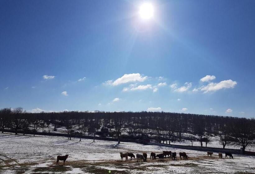 فندق Casas Del Sevillano