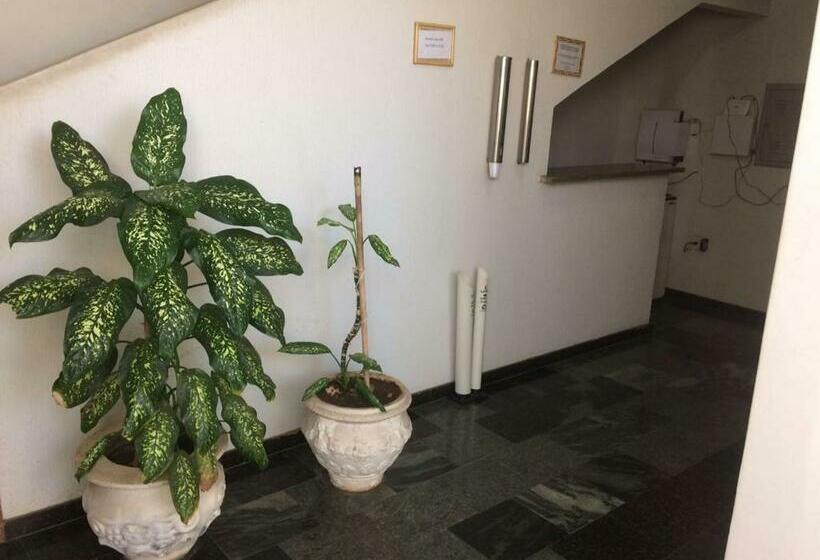 Отель Roda Viva Park