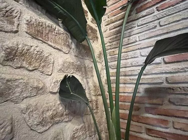 田舎風ホテル Agroturismo El Encuentro