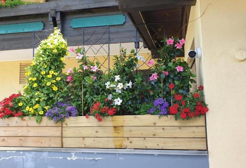 בית מלון כפרי Schönauer Hof