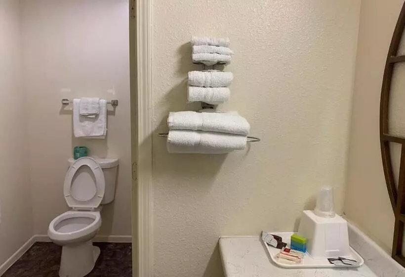 モーテル Economy Inn