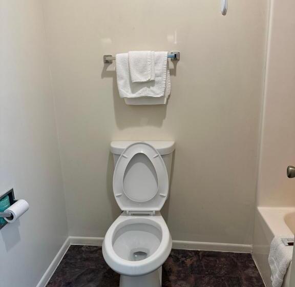 Мотель Economy Inn