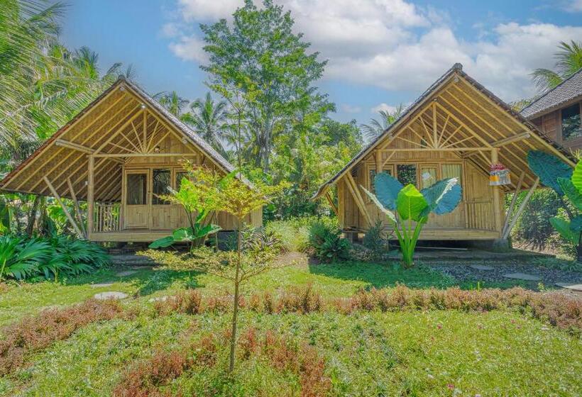 פנסיון Lembah Wanna