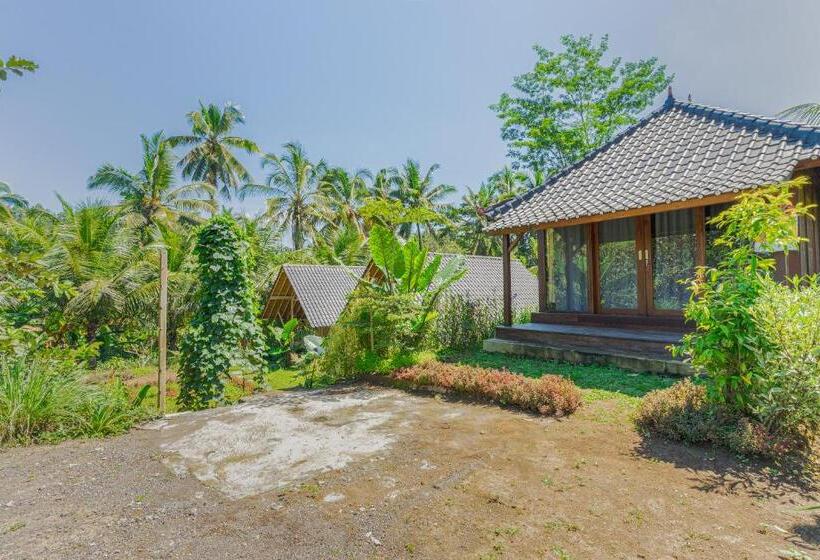 פנסיון Lembah Wanna