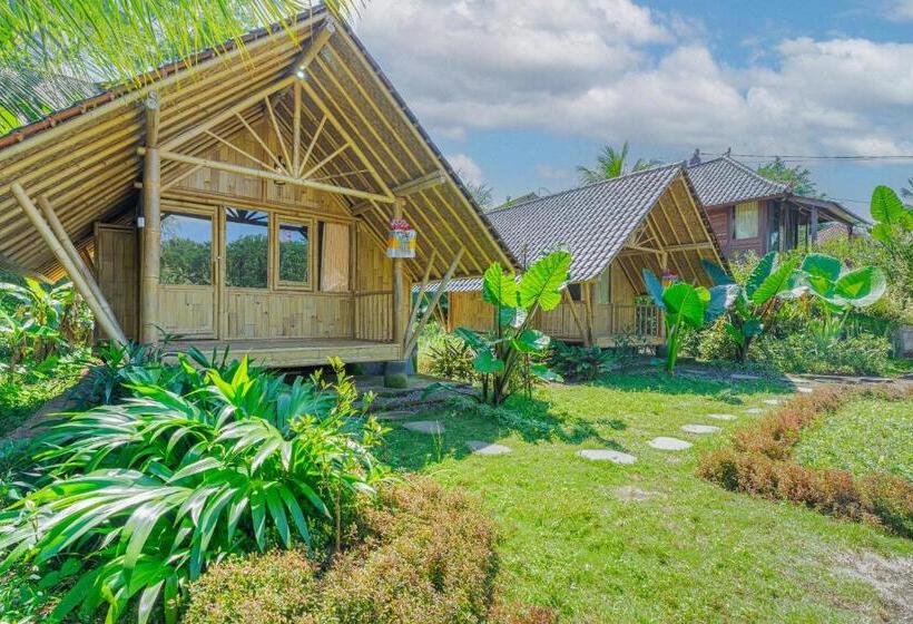 פנסיון Lembah Wanna