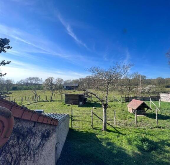 Bed and Breakfast Maison Bon