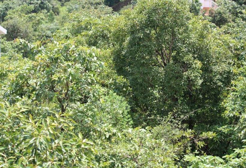 Otel Eshi Resorts And Restaurant   Bhimashankars Jungle Luxury Resort