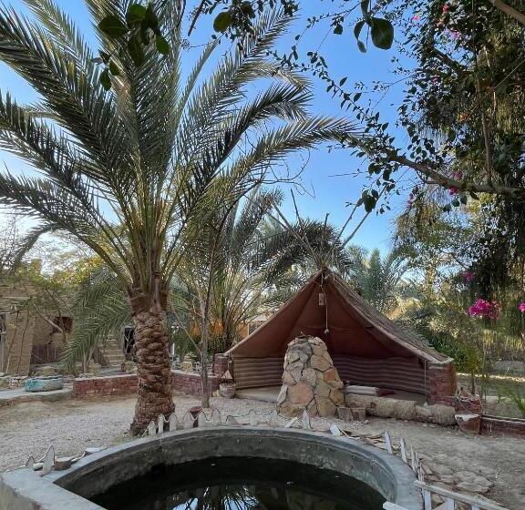 هتل Shamofs Art Garden