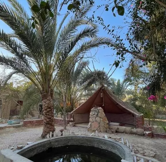 هتل Shamofs Art Garden
