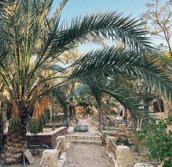 هتل Shamofs Art Garden