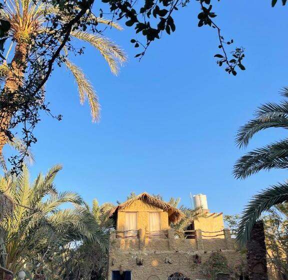 هتل Shamofs Art Garden