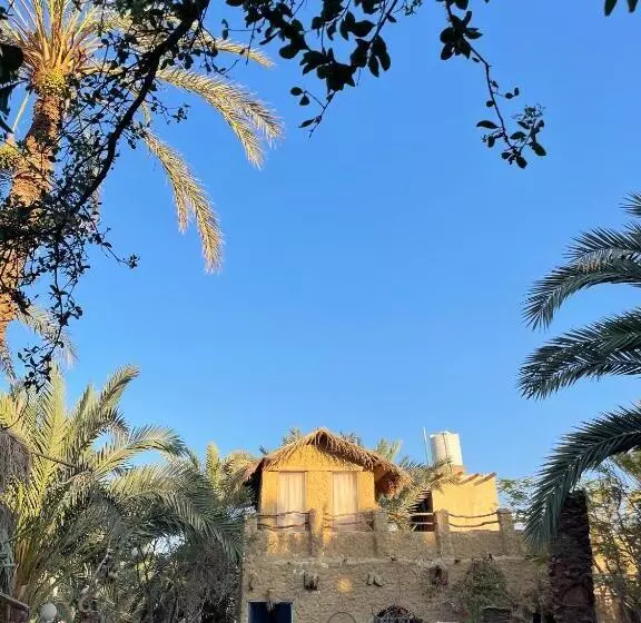 هتل Shamofs Art Garden
