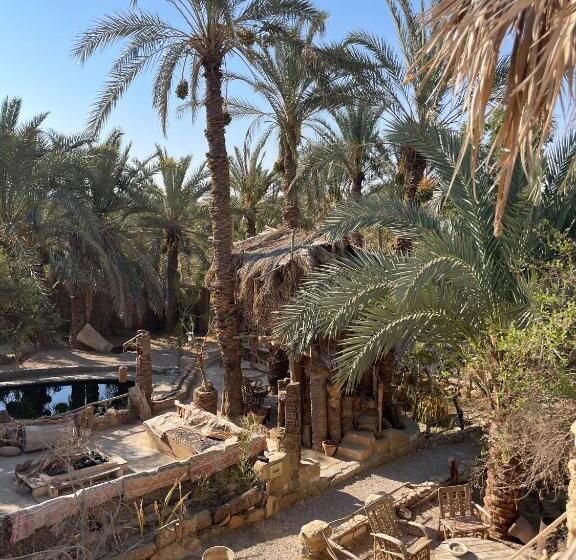 هتل Shamofs Art Garden