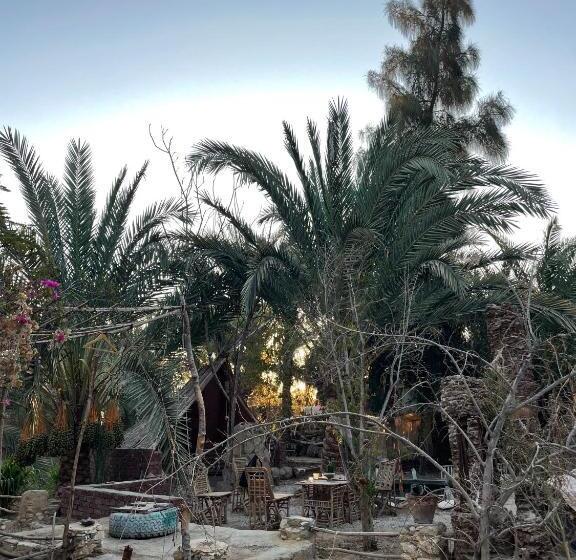 هتل Shamofs Art Garden