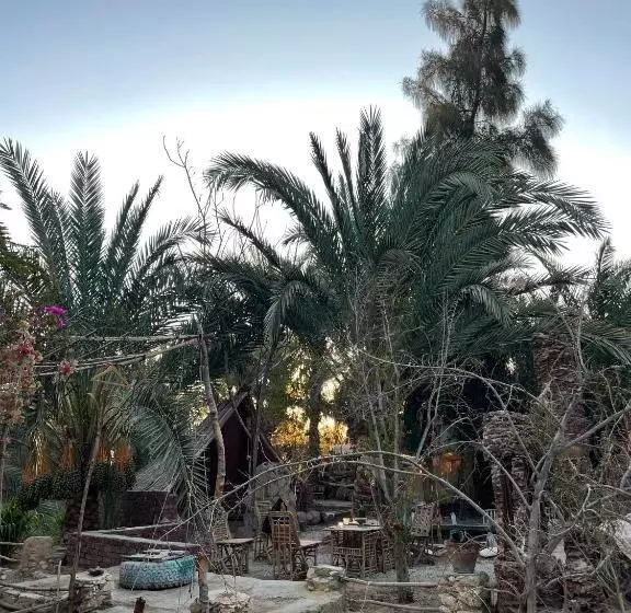 هتل Shamofs Art Garden