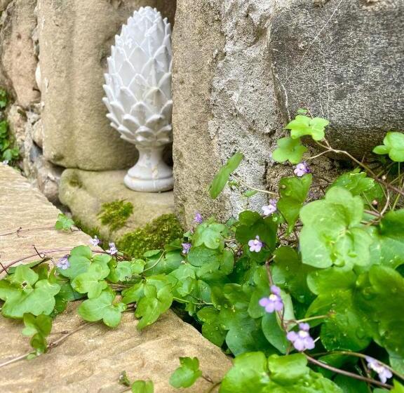 Pensiune La Suite Drômoise 1809