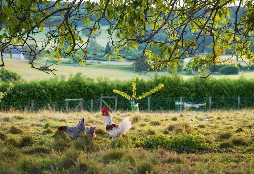 ベッドアンドブレックファースト Les Herbesfolles De Oizy