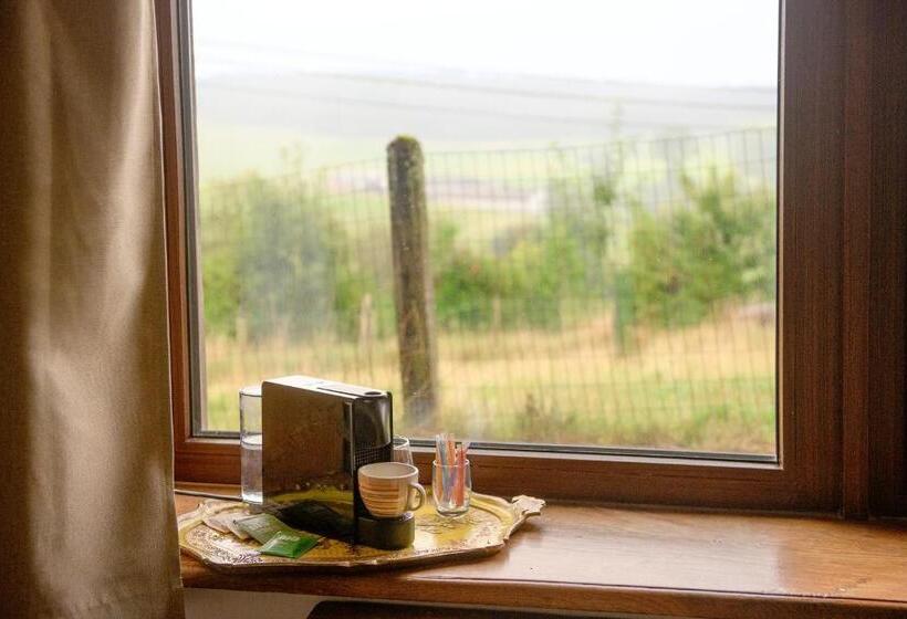 ベッドアンドブレックファースト Les Herbesfolles De Oizy