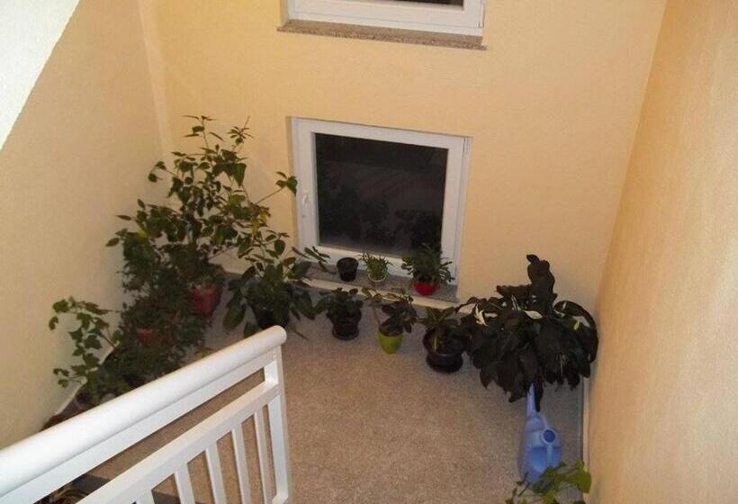 پانسیون D & J Pansion