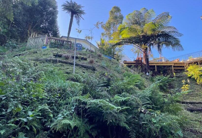 Pensió Gully Retreat