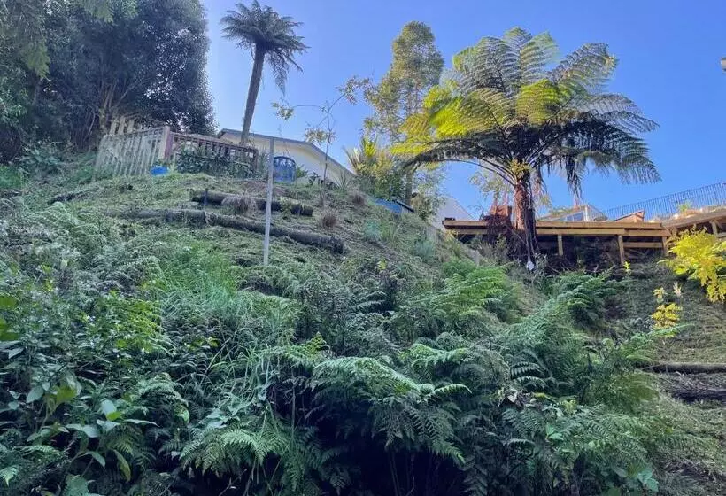 ペンション Gully Retreat