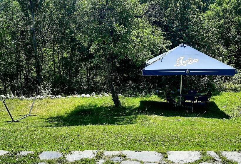 پانسیون Old Town