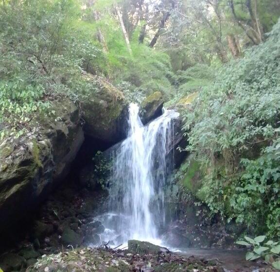 پانسیون Smile Guest House