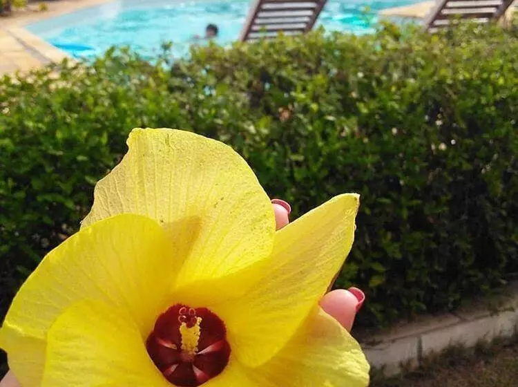 ペンション Vila Hibisco Saquarema