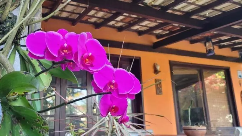ペンション Vila Hibisco Saquarema
