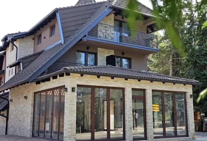 Vila Vujic Tara