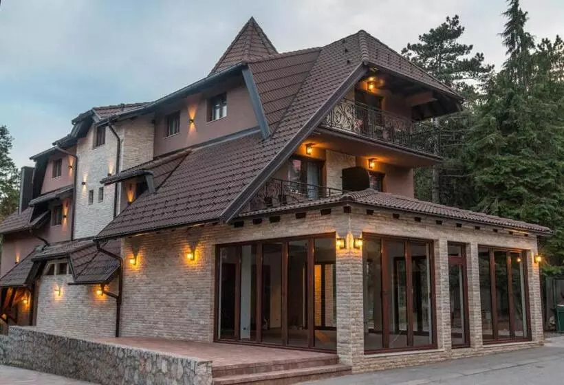 Vila Vujic Tara