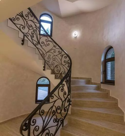 Vila Vujic Tara