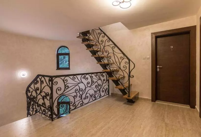 Vila Vujic Tara