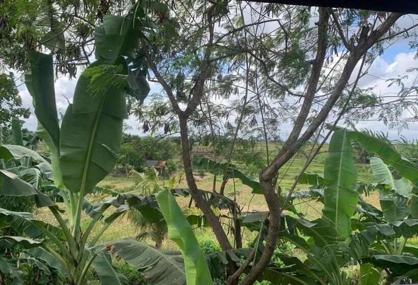 住宿加早餐  Griya De Sachi