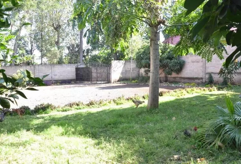 تختخواب و صبحانه Shaiya