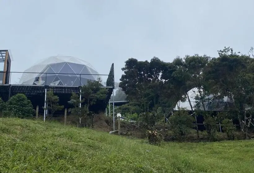 ホテル Féliza Rainforest Domes