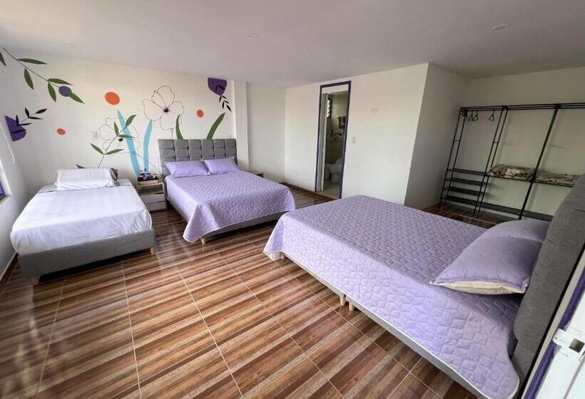 Nuevo Hotel Morada En El Centro Del Eje Cafetero