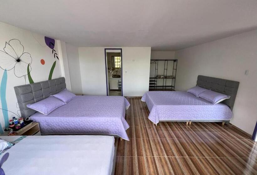 Nuevo Hotel Morada En El Centro Del Eje Cafetero