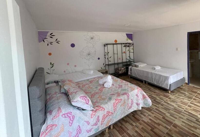 Nuevo Hotel Morada En El Centro Del Eje Cafetero