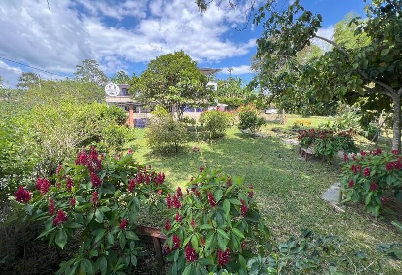 Nuevo Hotel Morada En El Centro Del Eje Cafetero