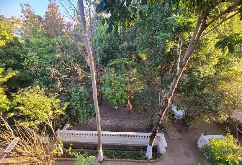 پانسیون Louisiana Guest House