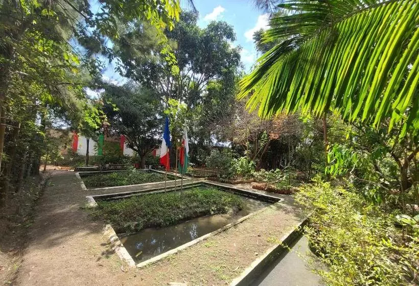 پانسیون Louisiana Guest House