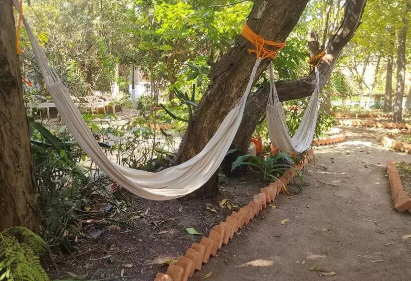 پانسیون Louisiana Guest House