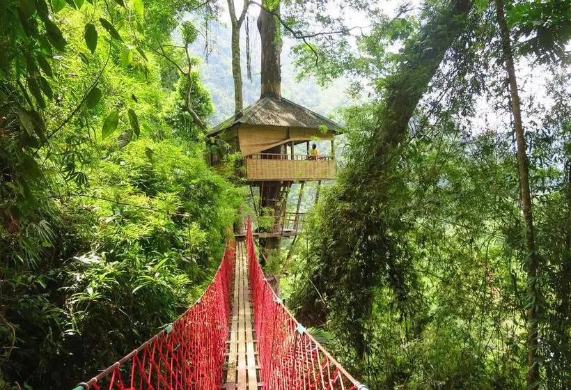 ユースホステル Elephant Adventure Village Tree House