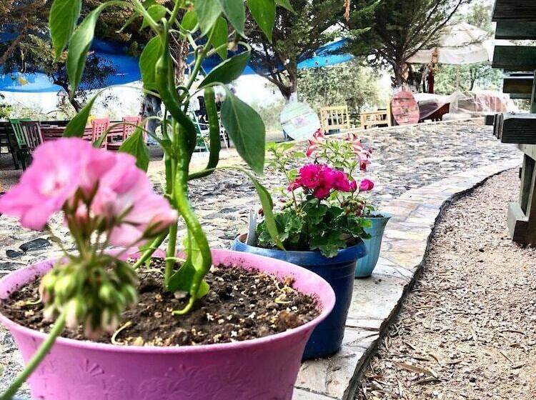 Bed and Breakfast Kaymak Tepesi Tatil Evi