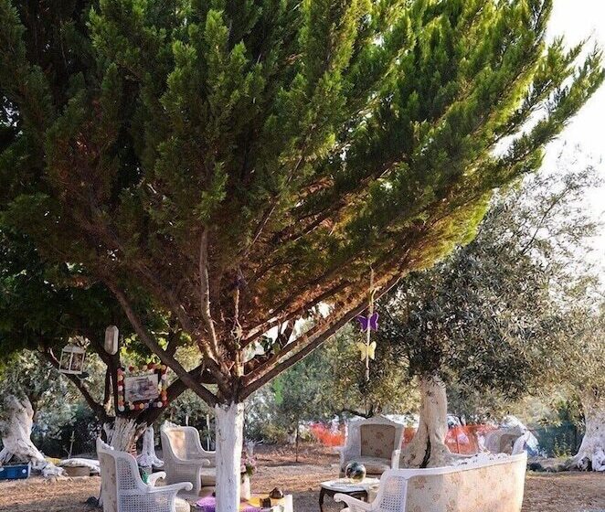 Bed and Breakfast Kaymak Tepesi Tatil Evi