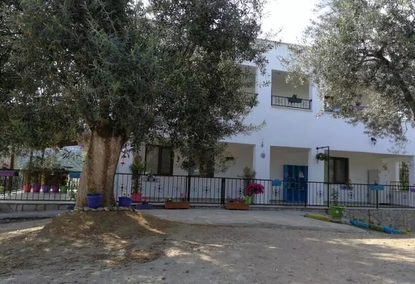 ベッドアンドブレックファースト Kaymak Tepesi Tatil Evi